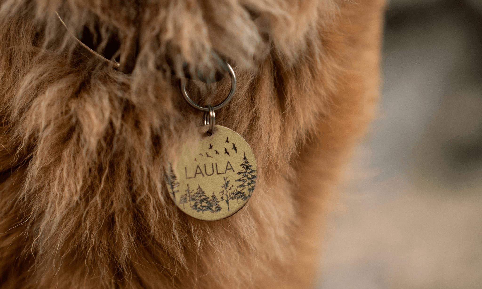 20 More Personalized Gift Ideas You Never Knew Existed – Part 2