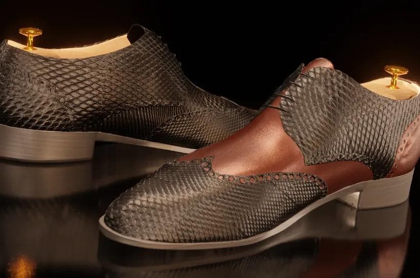 New Customer Secures Spot on Dragons’ Den Episode